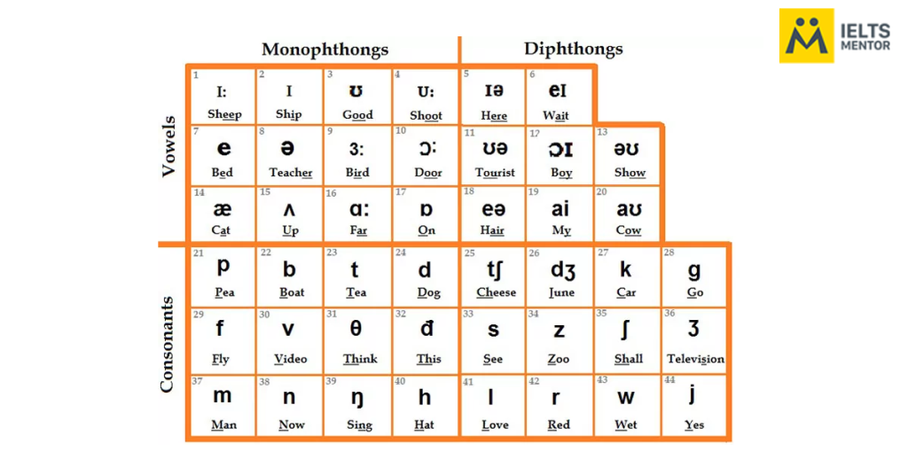 Bảng phiên âm IPA 44 âm trong tiếng Anh