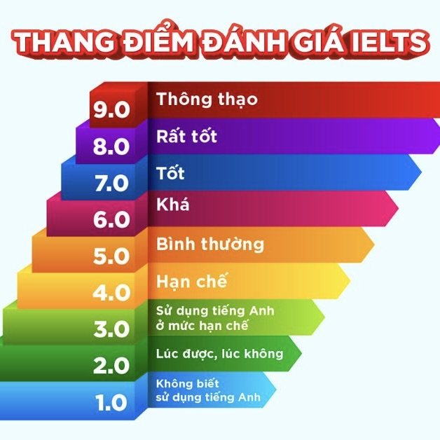 Lộ Trình Học Ielts Từ 0-6.5 Chi Tiết & Hiệu Quả Nhất 2024